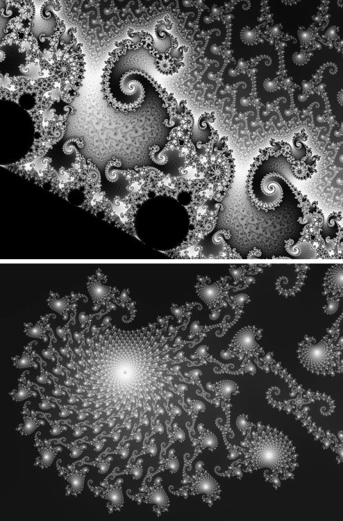 chaosophia218:  Unveiling the Mandelbrot porn pictures