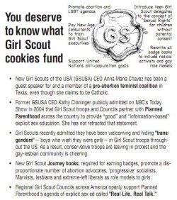 daddys-candy:  deathlehem:  someone on facebook posted this intending it to be negative but instead it’s INCREDIBLE. go girl scouts   Oh no!!!!  Not “information based” sex education!!!!!!  This is silly. Everybody knows Girl Scouts should be stupid