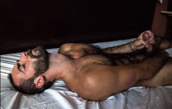 thebearunderground:  Follow The Bear Underground and check archives.Posting hot hairy men since 2010 to 16,000+ followers  Daddy bear stroking his fat cock