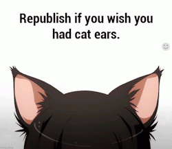 askdevicthepony:  ask-courage-catpony:  wolf-and-kitten:  pughz32:  I want them!!!a  UGH FUCK LIKE YOU DON’T EVEN KNOW  do I wan’t cat ears? DO I FUCKING WANT CAT EARS? YOU CANT EVEN GRASP HOW MUCH I WANT CAT EARS  Me 