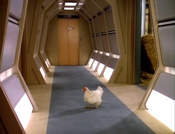 magnass:  lieutenantbtorres:  #is this orange is the new black (x)    The judges also would have accepted a gif of Leeloo pulling a chicken out of Cornelius&rsquo; Micro-ish-wave machine saying &ldquo;Chicken, good!&rdquo;.
