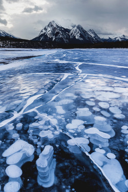 italian-luxury:    Abraham Lake, Canadian Rockies by Vicki MarThe plants on the lake bed release methane gas which freezes after reaching the colder lake surface. These frozen bubbles keep stacking as the lake freezes over  This is so cool.
