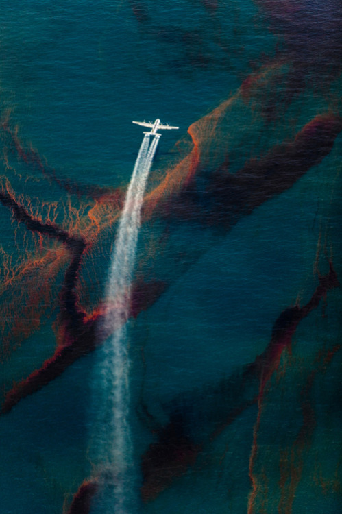 Sex vvolare:  “Oil Spill”  by Daniel Beltrá pictures