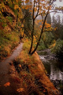 lori-rocks:  Eagle Creek Trail to Punchbowl Falls, Oregon via pinterest 