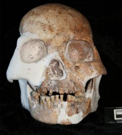 Skull of &ldquo;the people of the red deer cave&rdquo;, the youngest known prehistoric population who do not look like modern humans (fossils dated between 14,500 and 11,500 years old), unearthed in some caves in the Guangxi Zhuang region of China.
