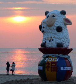 Feeling sheepish (2015 is the year of the sheep or goat) — Haeundae beach, Busan, South Korea