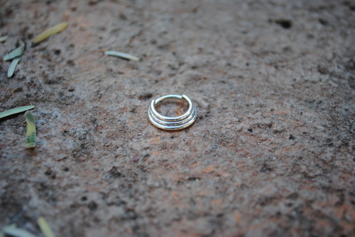 honeycomborganics:  16g silver 3 ring circus.  My appointment for getting my septum pierced is in two weeksI’d love to wear one of these soon…