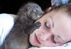 thechronicleofshe:  nightmarish-argonian:  pbsnature:  We love otters.   I WANT IT  I love all animals because they could just claw our faces off but they choose not to because they’re nice.  