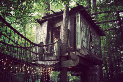 therealbohemian:  Secluded Intown Treehouse, Atlanta 