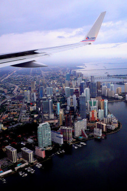 ladylandscape:  Miami by orrnrose on Flickr.