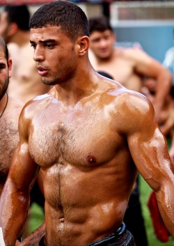 magnispenis:  mihaicta7701:  Follow me for more hot gay porn!✅http://mihaicta7701.tumblr.com/archive   Turkish oil wrestling. A sport I could get into. Just imagine rolling around on the ground with one of these hot, sweaty, oiled-up Turks. It’s no