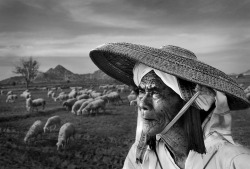 &lsquo;Waiting for the sheep to come home&rsquo; Photo and caption by Hoa Ngo Dinh (Phan Thiet, Vietnam); Photographed June 01, 2012, Ninh Thuan, Viet Nam   Read more: http://www.smithsonianmag.com/arts-culture/photo-of-the-day/?c=y&amp;date=03/02/2013#ix