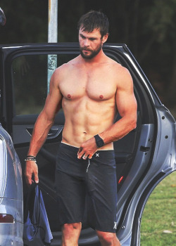 male-celebs-naked:  Chris Hemsworth bulgeSubmit HERE  ←More Celebs HERE  ←