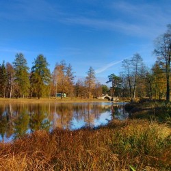 #Autumn #colors #colours #landscape #park #Gatchina #Russia #walk #nature #tree #trees #goodday #осень #краски #цвета #прогулка #парк #Гатчина #Россия #пейзаж #beauty #spb #photorussia