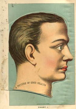  Flip-Book Style Anatomy Charts [early 20th / late 19th century ?]Charts with moving die-cut parts depicting the head, brain and skull [ X ][ provenance uncertain ] 