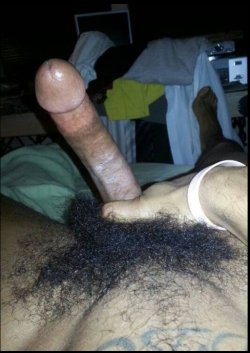 PRAISE BIG BLACK PENIS! hairymenofcolor:  Please don’t ever shave that cock! Mmmph! Hairy Men of Color 