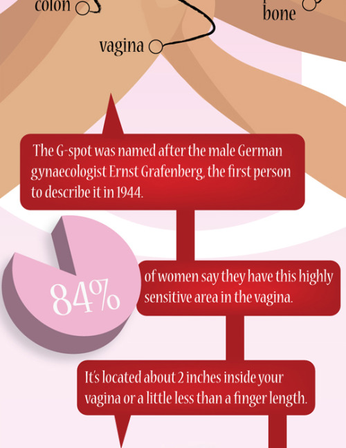 kenzie-kush:  foryoursexualinformation:  housewifeswag:  this is more education about your vagina than you’ll receive in a US public school system so. read up! men too!  I love this infographic!  The more you know 