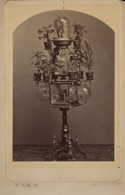 henry——–spencer: “Bird Cage, Aquarium and Plant Stand” (circa 1880)____________Courtesy of George Eastman House,International Museum of Photography__________________and Film George B Selden.