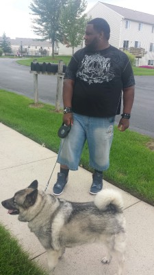 Hanging with thejungleofmufasa, lost4thought and jb365 walking their Norwegian Elkhound pups Koddo and Poddo.