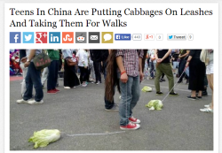 psychetimelapse:  oatmealheart:  tyleroakley:  THEY KNOW SOMETHING WE DON’T KNOW  According to Europics, the teens in the photographs at the Midi festival told reporters that walking cabbages helped them cope with emotional problems. &ldquo;I feel I