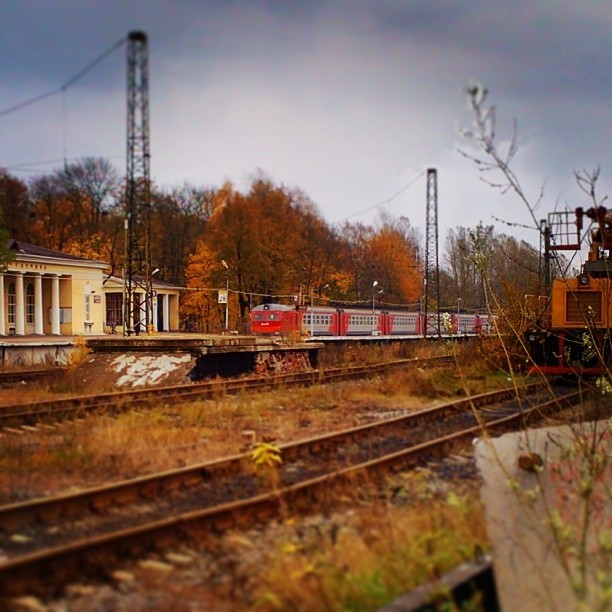 #Trains &amp; #rails / #Gatchina #Russia #October 2013 #поезда и #рельсы