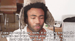 asvpfrenchie:  so-glad-were-neighbors:  old-school-shit:  gogul-mun:  slimmcharles:  makhaillamorris:  This man…  Translation: Don’t waste your time and energy on the wrong light.  *sigh*  wake up call  Gambino is a mastermind.  childish 