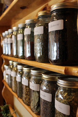 allthateverwasorwillbe:  Health Care At Home The Natural Way Featuring The Home Apothecary  
