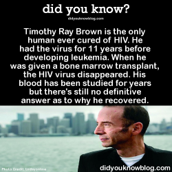 did-you-kno:  Timothy Ray Brown is the only human ever cured of HIV. He had the virus for 11 years before developing leukemia. When he was given a bone marrow transplant, the HIV virus disappeared. His blood has been studied for years but there’s still