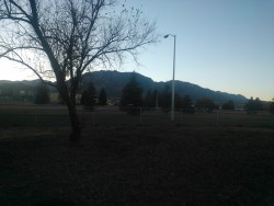 It was really pretty at the park earlier.
