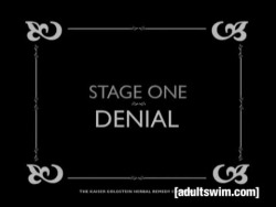 epic-humor:  Stages of Loss by Adultswim [video]