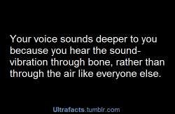 the-fandoms-are-cool:  watersofglass:  fiona-so:  a-bitter-form-of-refuge:  angry-moth-noises:  freckledtrekkie:  teamfreekickass:  paging-doctorfaggot:  IS THAT WHY YOUR VOICE SOUNDS SO DIFFERENT ON THE PHONE  MY VOICE IS HIGHER THAN THIS  OH MY GOD