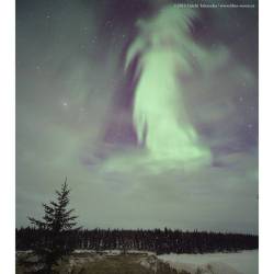 Ghost Aurora over Canada #nasa #apod #aurora #atmosphere #chargedparticles #solarwind #halloween #ghost #canada #alexandrafalls #space #science #astronomy
