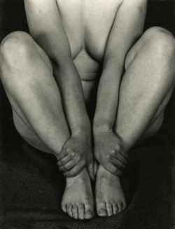 joeinct:Nude 99 N (Fay Fuqua), Photo by Edward Weston, 1933