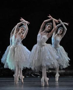 yoiness:    Gramilano - ballet, opera, photography  Swan Lake - Yasmine Naghdi, Francesca Hayward and Olivia Cowley Photo by Dave Morgan, ROH    