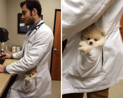 tcfkag:  This looks like Superman got a new secret identity as the handsomest veterinarian in all the world. :-P 
