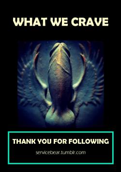 servicebear:  To all of my 48,000 awesome followers, the gifted artists, photographers, talented actors, amateur models, everyday people, average Joe’s and the source Tumblr blogs of this compilation post - Thank you. Visit ServiceBear &amp; Follow