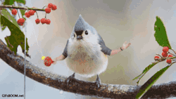 tastefullyoffensive:  Video: Birds with Arms (ASUS Commercial)