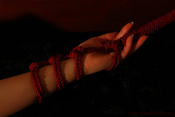 memoryanddesire-stirring:  fossilofpain:  model: crescent / photography by 石舟煌 Koh Ishifune http://fossilofpain.com   Something about the way her hand gently grasps the rope. It gives reassurance to her very being. It gives her peace and passion…