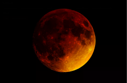 theverge:  PICS OF A SUPER MOON, 2015The super moon was red as blood and enjoyed by humans and reindeer alike. We will not see its like until 2033. 