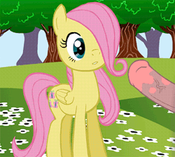 mikedk728:  cum x fluttershy request by: the-clop-playhouse