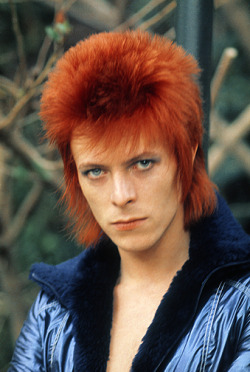 David Bowie is my spirit animal