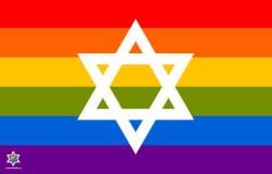 eternalravendreamer:  plenoptic07:  laughlikesomethingbroken: For all your Jewish-Pride needs. Reblog to make a goy angry :)  Reblog to make Jewish LGBTQIA+ people feel recognized and loved   @stellatoryguillotine 