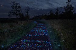 marjoleinhoekendijk:  kaleidoscopeyeez:  orientaltiger:  The first innovative bicycle path in the Netherlands will be paved with light stones that will charge during the day and emit light during the evening. The path will run by the home that Vincent