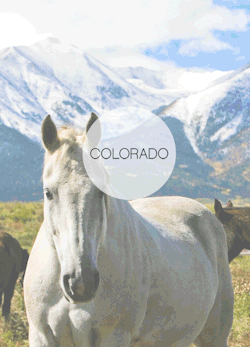 Colorado ReBlog 😍