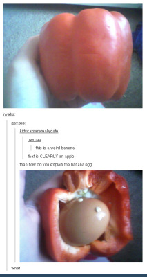 lucifers-ass-cheek:  posts that are only