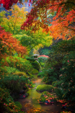 drxgonfly:Autumn Serenity In Portland Japanese Gardens (by kevin mcneal)