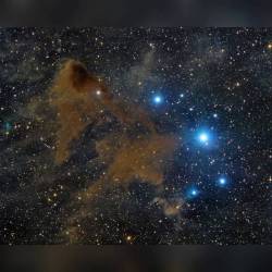 Lynda Dark Nebula 183 #nasa #apod #lyndsdarknebula183 #beverlylynds #molecularcloud #stars #nebula #starformation #constellation #serpenscaput #milkyway #galaxy #interstellar #universe #space #science #astronomy