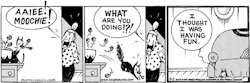 muttscomicsofficial:Shamybe a little too much. - Classic MUTTS Come find us on:  	 		Our Site 	 | 	 	     		Facebook          | 	                  Twitter          | 	                  Instagram          | 	                  Pinterest          | 	   