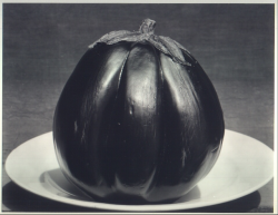 standingatthefence: Edward Weston | Eggplant on Plate, 1929