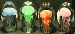 daphne-ofallon:rollan0therblunt:bioluminescent-seadwellers:  takethedamncash:  Kind of like lava lamps but better! These jellyfish are real. They have died of natural causes, been harvested by these lamp makers, frozen in liquid nitrogen and encased in